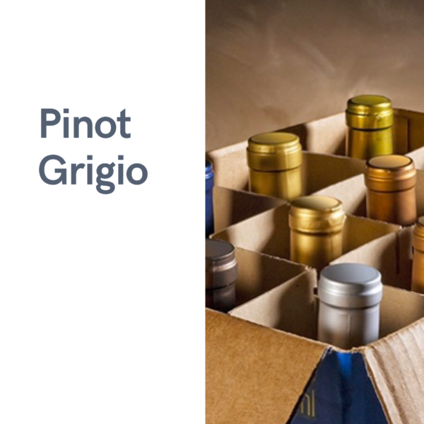 Pinot Grigio (6 bottles)