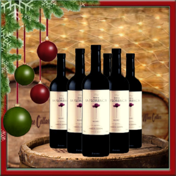 Finca la Florencia Malbec (6 bottles)