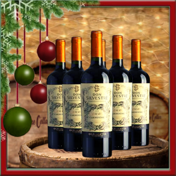 Don Silvestre Carmenere Reserva (6 bottles)