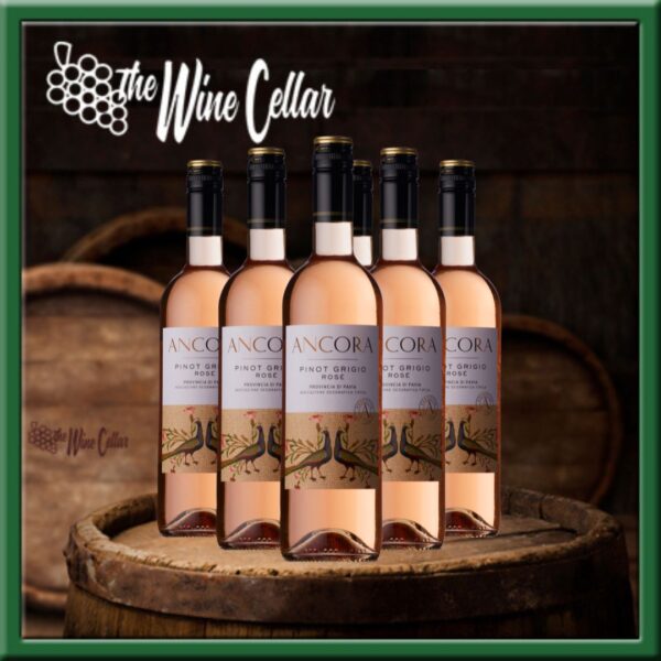 Ancora Pinot Grigio Rose (6 bottles)